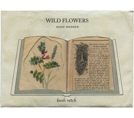 楽天市場 カラスノエンドウの通販