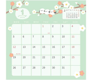 ݌ɌSALE!! {Nbv 2026N J_[  gIV}GiK 26TCL-T3