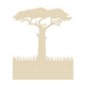 HI MOJIMOJI（ハイモジモジ） アカシアの木の「デングオン」 Deng On / Acacia HMDE-1212