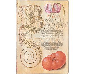 Paperblanks / y[p[uNX m[g \tgJo[ Flexis Sg}g ~E{^jJ ~fB B6 r FB9348-0