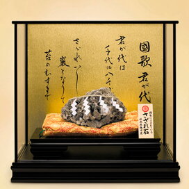 楽天市場 さざれ石 特製ガラスケースつき 国歌 君が代 通販 販売 東京書芸館 君が代 国石 さざれ 石 国歌 国家 正月 令和 巌 揖斐川 岐阜 岐阜市 春日 さざれ石公園 浄化 きみがよ 細石 伊勢神宮 通販 販売 東京書芸館