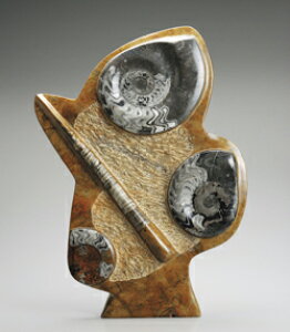 超稀少 化石 『 アンモナイト & オルソセラス 』 オブジェ 置物 リビング 玄関 書斎 通販 販売 プレゼント お祝い