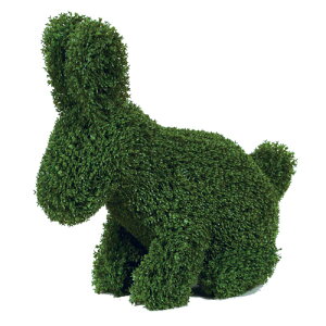 K[fjO w  x  u Aj}gsA[ 킢 ʔ ̔ v[g