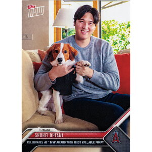 wJĕ2023MVPLOg[fBOJ[hx hW[X W[[O v~A MLB v[g Mtg j ʔ ̔