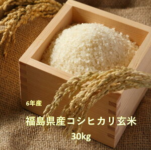 yňlɒ풆zYRVqJ30L(āE6NYj  ĉ Ђ ӂ܃vCh  ikCElEEBn͗LłjMtg ̂Ή 30kg