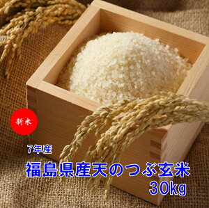 yVāzYV̂Ԍ30LiāE7NYjEĉ@I(ւ̔sjj