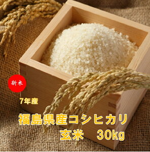 yVāzYRVqJ30L(āE7NYj  ĉ Ђ ӂ܃vCh  Eւ̔sBMtg ̂Ή 30kg p