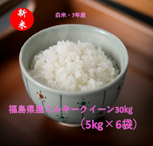 yVāvY~L[NC[5L×6܁iāE7NYjS(ESĂ̗Ep̂nւ̔sj30kg@ӂ܃vCh@Mtg@̂Ή@