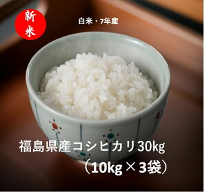 yVāzYRVqJ10LX3܁i30kgjiāE7NYj@ā@ӂ܃vCh@30kgiꕔn揜jESĂ̗Ep̂n͔ł܂ā@M