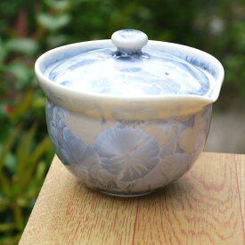 京焼 清水焼 花結晶宝瓶急須　銀藤陶あん