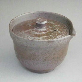 京焼 清水焼 焼締白雪宝瓶急須　忠