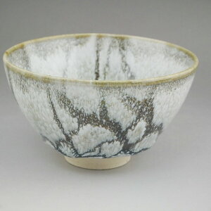 ���� ������ ���ؖ��H�V�ڒ��q�@���q