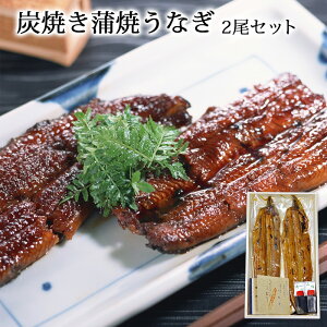 yMtgzYĂĂȂ2Zbg ypN̓ V EiM Ȃ Y  N̓ N Ε   O Mtg v[gHi   蕨 