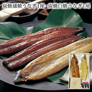 yMtgzYĂĂȂ2+ĂȂ1Zbg V EiM yp̉N̓ Y   䒆 Mtg  Hi N̓  OHi  Hו  