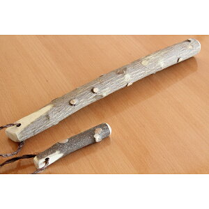 R 񂵂傤 肱_ 10cm /_ 肱ؖ_ TVE ~jTCY 肱 S} ܂ Ӗ RM 蕲 ؐ肱 XpCX Ƃ aH