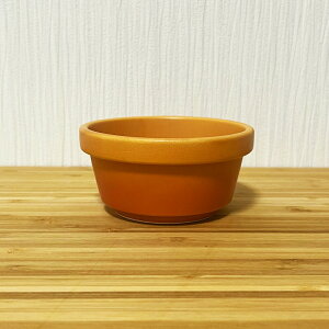 EH[}[ X^bN[{E 10cm xCNIW /{ Z   IV `[YtHfp o[jJE_p X[v{E  H \[X|bg X^bLO `[Y