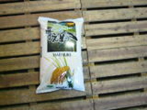 令和7度産庄内産はえぬき白米10kg【楽ギフ_のし宛書】