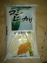 令和6年産庄内産 コシヒカリ 白米10kg【楽ギフ_のし宛書】