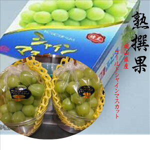 RY@nʁIInEX͔|@S[hVC}XJbg1