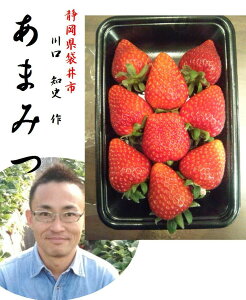 uEň䕁IIvÉ|sY@@mj@@܂݂䕁iƒpj@12pbN@i1pbN@250g5`12j@傫ɂ藱قȂ܂Bidl