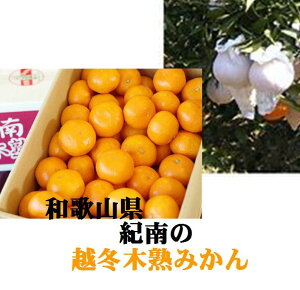 a̎RY@oC[I񂾔@uỈz~؏n݂v@1iM`2Sj