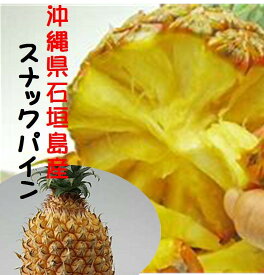 沖縄県石垣島産　ハウス栽培スナックパイン（1玉当たり400g〜500g）
