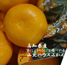 高知県産　「バイヤーが選んだ美味しいもん」山北のハウスみかん　S〜M寸　1箱※商品仕様の個数は箱の個数です。