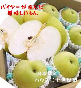 ЂƂ@挧Y@nEX\I@L`3L@i̓ATrʂoꍇ܂B