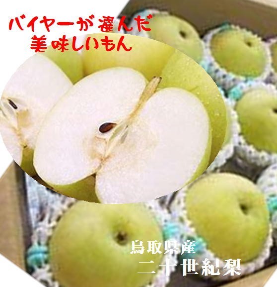 ランキング総合1位 鳥取県名産 豊富な果汁とさっぱり感が最高です さわやかな梨といえば二十世紀です バイヤー選んだ美味しいもん 商い 鳥取県産 9～15玉 4.5ｋｇ 二十世紀梨 露地栽培 2L～４L