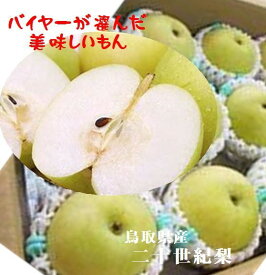 バイヤー選んだ美味しいもん　鳥取県産　露地栽培　二十世紀梨　2L〜4L