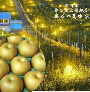 ΐ쌧Y@Joבg@̖L@3L`5L