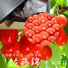 「佐藤錦チョコ箱」　長野県中野産　品質安定！！　加温ハウス栽培　150g手詰め　L〜2L寸※サイズにより入数が異なります。到着指定日不可商品でございます。