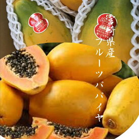 「宮崎県産フルーツパパイヤ」国産ならではの適熟！！まろやかな甘みと癖の無さ　2kg（3〜5玉）※12月〜翌年4月上旬まではお届けにお時間がかかります。
