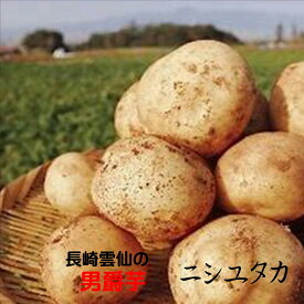 新物は九州産がうまい！！長崎県雲仙　男爵芋「ニシユタカ」M～2L寸　4kg※商品仕様の個数は　2L寸のおおよその数量です。