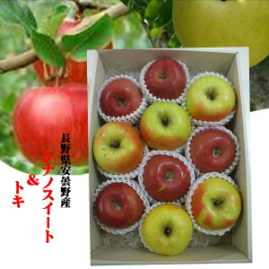 oC[I񂾂񂲁u쌧ܖY@VimXC[ggL@1