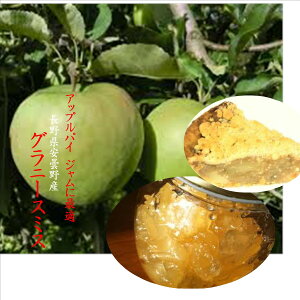 AbvpC@WɍœKII쌧Y@Oj[X~X@1