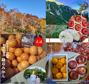 a̎RLc@݂iM`Lj@1.2kg쌧Y@uꍂ̃Tӂ@4ʁi1ʓ250gȏj