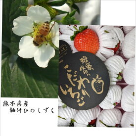 熊本県産　軸付きひのしずく　1箱※商品画像は1.2kg詰めです