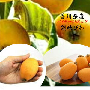 ���i�摜