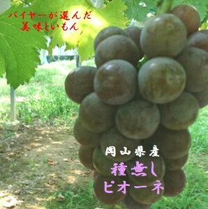 RY@oC[I񂾁@nEX͔|u햳sI[lvipi1[650g`700gj