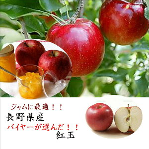 VIIWɍœKII쌧Y@gʁ@1@1kgi4`6ʁjȈՔEȈՕł̂͂ƂȂ܂