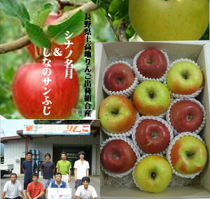 쌧㍂n񂲏oבgY@Tӂ@1@@i摜3kgl߂ł