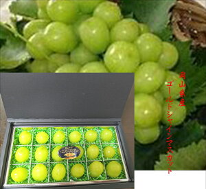 RY@nʁIInEX͔|@Juwelry Fruits S[hVC}XJbg118