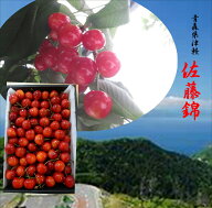 青森県津軽産　佐藤錦　（L〜2L）1箱