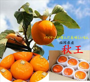 񂹁IIoC[I񂾔IIIWi@HiƒpjʔɍV~܂B