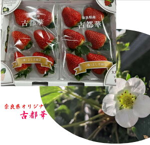 ޗǌIWiIIvޗǌY@Ós؁@i1pbN@240g6`11j@傫ɂ藱قȂ܂Bidl̗͑TCY̗łB