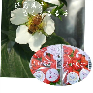 ߉͓@uN䕁v䕁@ƒp1i1pbN200gj