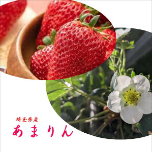 X̏܂܁IIuɂ݂䕁vʌY@܂@1i400g@9`15jϔ