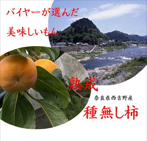 injޗǌg@햳`@L~3L@u炩ȂƂ肨v