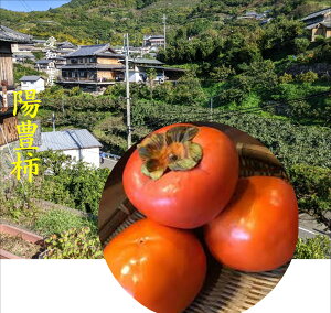 u󏭕ivmY@zL`@1iM`3Lj